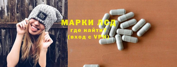 прущие грибы Абинск