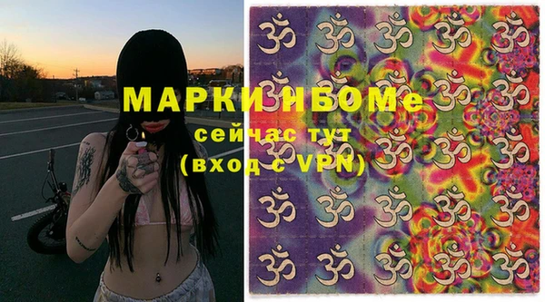 прущие грибы Абинск