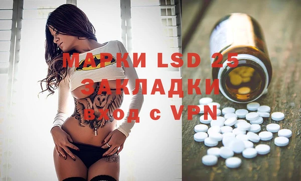 прущие грибы Абинск