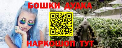 гашик Краснознаменск