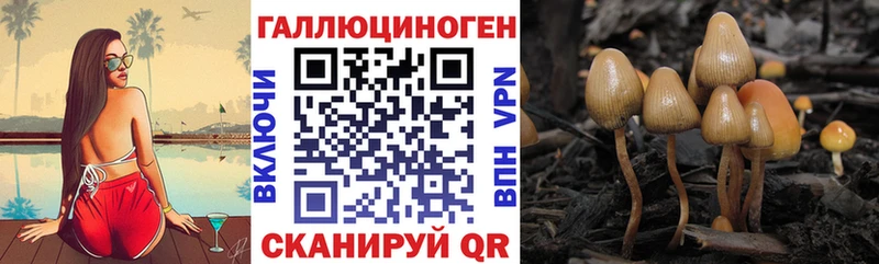 Псилоцибиновые грибы Magic Shrooms наркотики OMG ссылки Кисловодск