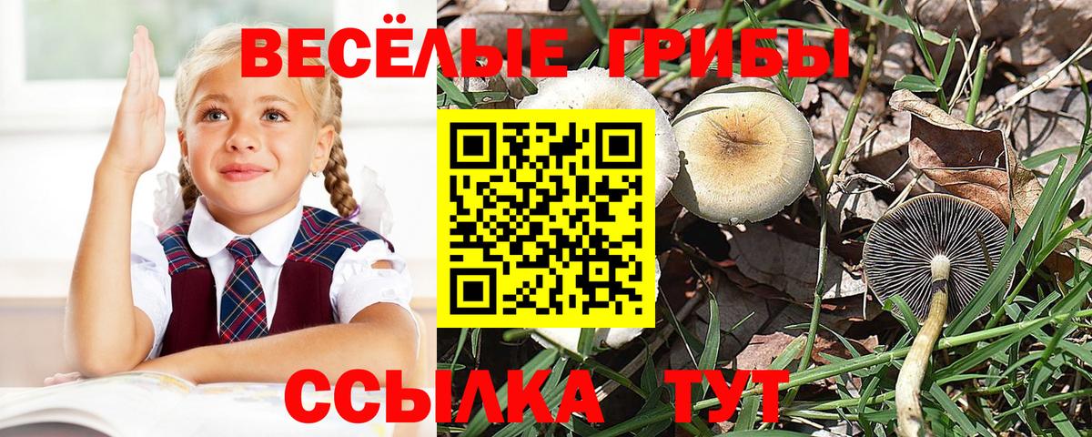 Галлюциногенные грибы ЛСД  Вход с VPN  Кисловодск  Псилоцибиновые грибы мицелий 