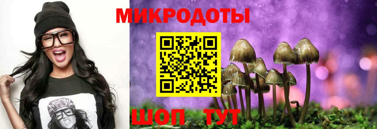 Псилоцибиновые грибы Magic Shrooms Кисловодск